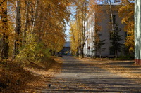 �� ������ � ��� �� ���, �����