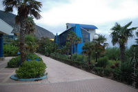 ������ ''�������'', �����