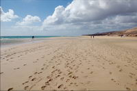 ���� ���������