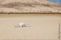 ���� ���������