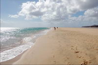 ���� ���������