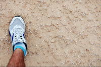 ����, ���������