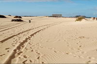 ����� ���� ����, ���������