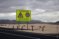 ����, ���������