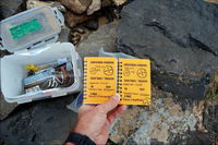 �� ���� �����