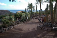 ����� ���� - �������