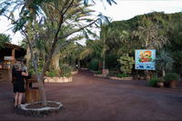 ����� ����