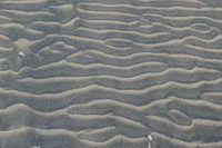 ����� �� ����������, ���� �������