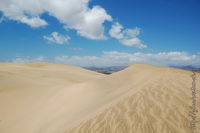 ���� �������