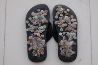 ������ ����� ��������, ����������, ���� �������