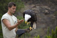 ��� � ������� �������, �������� ����, ���� �������