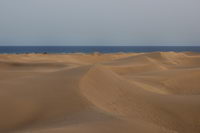 ���� ����������, ���� �������