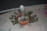 ������, ����������, ���� �������