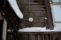 ������, 14�, �����