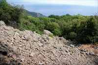 ��������, ��������, ����