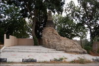 �������� ����. �. �������������, ��������, ����