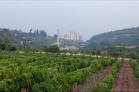 ��� �� �������� �� ������� ������ ������-����, ����