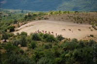 ������ ��������, ����� � ������ ����������, ����