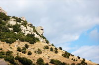 ������ ��������� II, ��������, ����