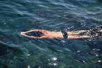 � ���� � ''����������� ������'', ��������, ����