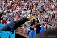 ��� � �������� ������, ���� ����, ��������