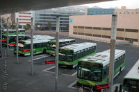 �����������, ����� ����, ��������