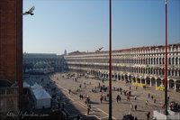 ������� ��� �����, �������